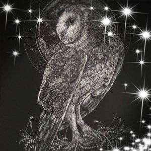 Meet your Posher, Suzanne